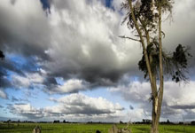 虎扑nba官网:上海女排招袁心玥外援重炮 张景胤27分双杀晋级俄超4强.