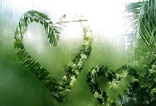 卡塔尔-朝鲜，阿菲夫一射三传，拉维破门，金有成自摆乌龙.