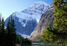 虎扑nba官网：上海女排招袁心玥外援重炮 张景胤27分双杀晋级俄超4强.