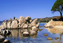 下午15点！山东泰山正式官宣，功勋后卫伤停6周，随队夺7个冠军.